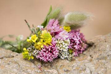 Bouquet de fleurs sauvages