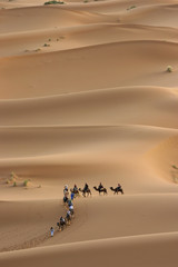 Camel trek in the Sahara