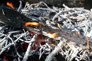 charcoals fire