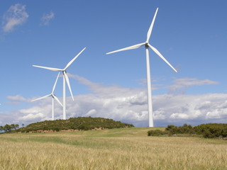 Molinos de Viento