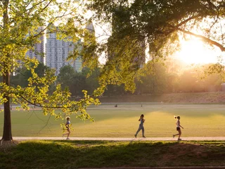 Sierkussen Piedmont Park in Atlanta, Georgia © jedphoto