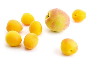 peaches and apricots