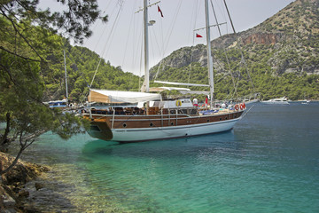 Cove
