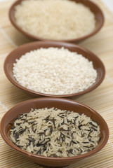 Various shapes of rice