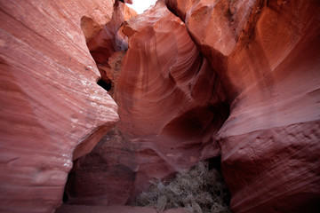 Fototapeta na wymiar Kanion Antylopy, Arizona, USA