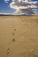 footprints in the sand