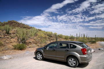 Fototapeta na wymiar samochód w Organ Pipe National Monument, Arizona, USA