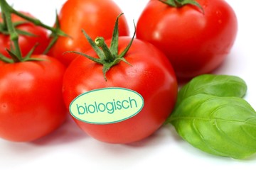 Bio Tomaten