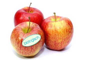 Bio Äpfel
