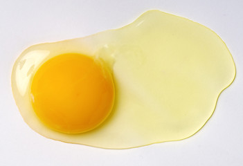 Egg