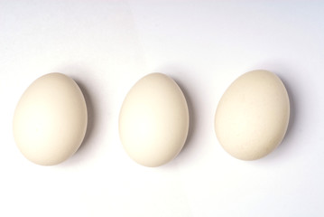 Egg