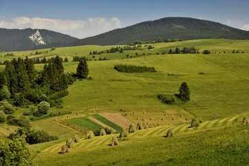 Ekologische Landwirtschaft - Rainweiden