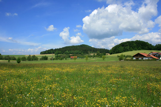 Fr&uuml;hlingslandschaft im Bayerischen Wald