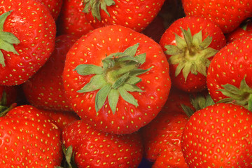 Erdbeeren