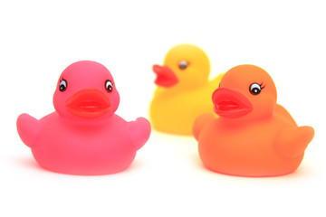 Trois petits canards