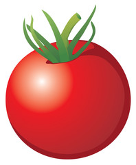 Red tomato isolated on white