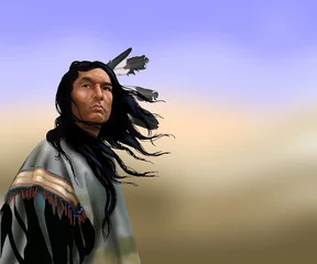 Wall murals Indians lakota warrior