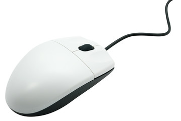 isolated computer mouse