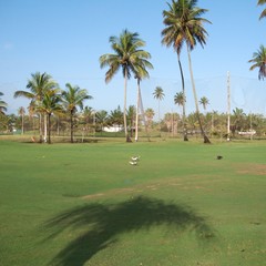 Fototapeta premium Golf resort in Dorado, Puerto Rico