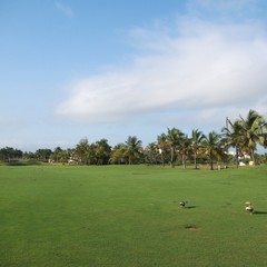 Fototapeta na wymiar Golf Resort w Dorado, Puerto Rico