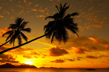 colorful tropical sunset with place for your text