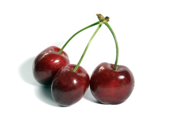 Cerises