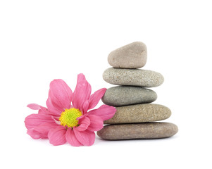 Naklejka na ściany i meble zen / spa kamienie z kwiatami