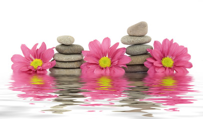 zen / spa stones with flowers