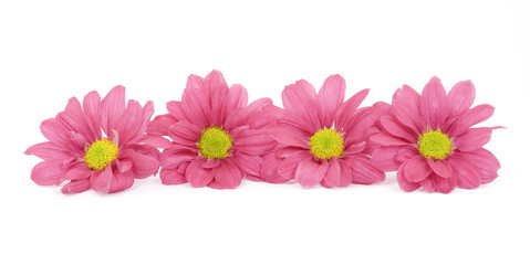 zen / spa stones with flowers