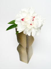 White peony in ceramic vase