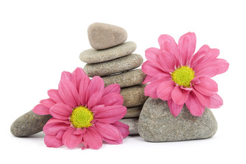 Fototapeta na wymiar zen / spa stones with flowers
