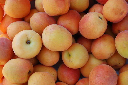 appricot
