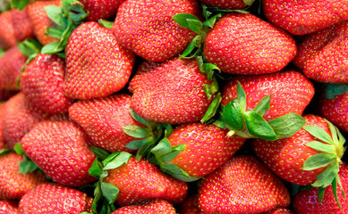 Ripe fresh strawberries