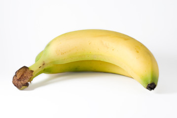 bananas on white background