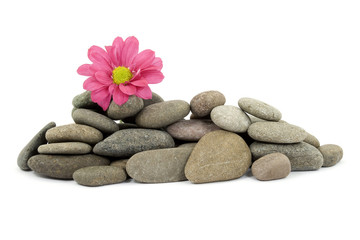Fototapeta na wymiar zen / spa kamienie z kwiatami