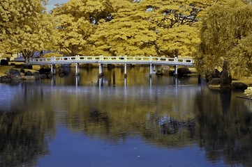 Fototapeta premium reflection of bridge and tree in the lakes