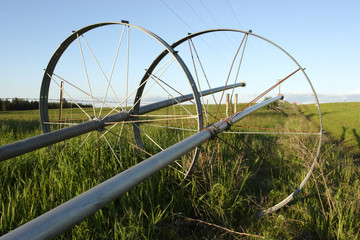 Irrigation pipes in a farm field.