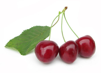 Three cherries with leaf
