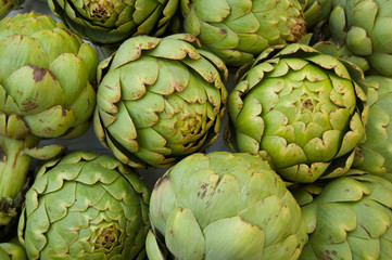 Obraz premium Big Artichokes