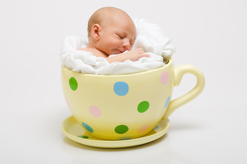 Newborn in Yellow Cup