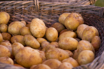 Panier de pommes de terre