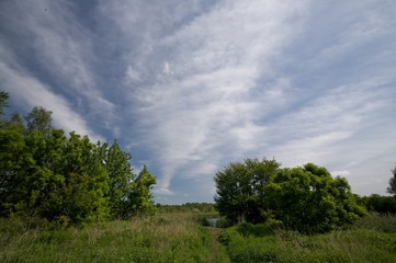 Fototapeta premium pond 2