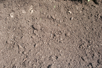 soil on a vegetable garden geared-up for landing of plants