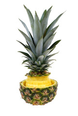 pineapple