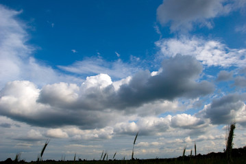 Fototapeta premium clouds