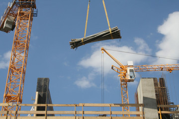 crane