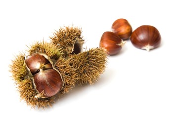 Chestnuts