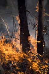 nature disaster