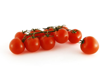 Branch of tomato cherry