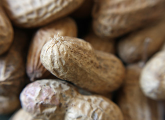Peanuts